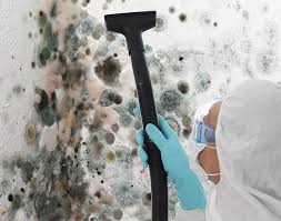 Professional Mold Removal & Remediation in Fort Mohave, AZ